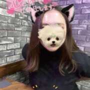 ヒメ日記 2024/12/29 10:04 投稿 しいな奥様 なすがママされるがママ川越