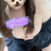 ヒメ日記 2024/12/29 15:14 投稿 しいな奥様 なすがママされるがママ川越