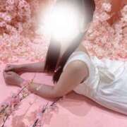 ヒメ日記 2025/04/18 17:30 投稿 あも The White