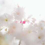 ヒメ日記 2025/04/19 11:59 投稿 胡桃(くるみ) グランドオペラ横浜