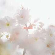 ヒメ日記 2025/05/04 19:10 投稿 胡桃(くるみ) グランドオペラ横浜