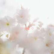 ヒメ日記 2025/05/08 19:21 投稿 胡桃(くるみ) グランドオペラ横浜