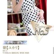 ヒメ日記 2025/11/28 17:41 投稿 紫【ユカリ】 Evolution1st ミナミ谷九店