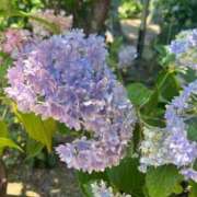 ヒメ日記 2025/07/04 14:41 投稿 Carly【キャリー】 Evolution1st ミナミ谷九店