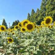 ヒメ日記 2025/08/20 15:41 投稿 Carly【キャリー】 Evolution1st ミナミ谷九店