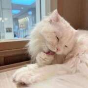 ヒメ日記 2025/09/24 11:21 投稿 Carly【キャリー】 Evolution1st ミナミ谷九店