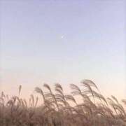 ヒメ日記 2025/10/29 14:51 投稿 Carly【キャリー】 Evolution1st ミナミ谷九店