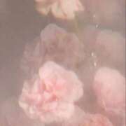 ヒメ日記 2025/11/14 11:41 投稿 Carly【キャリー】 Evolution1st ミナミ谷九店