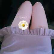 ヒメ日記 2025/04/07 14:13 投稿 Honey【ハニー】 Evolution1st ミナミ谷九店