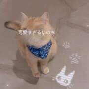 ヒメ日記 2025/07/09 14:21 投稿 Honey【ハニー】 Evolution1st ミナミ谷九店