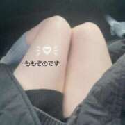 ヒメ日記 2026/04/01 12:01 投稿 Honey【ハニー】 Evolution3rd 北新地