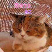 ヒメ日記 2025/01/04 09:32 投稿 みこ 恋のうた