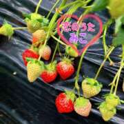 ヒメ日記 2025/02/25 21:15 投稿 みこ 恋のうた