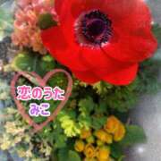 ヒメ日記 2025/03/15 14:11 投稿 みこ 恋のうた