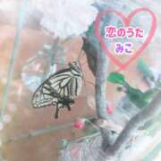 ヒメ日記 2025/03/18 09:32 投稿 みこ 恋のうた