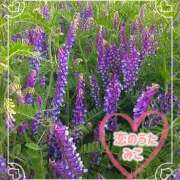 ヒメ日記 2025/04/28 13:07 投稿 みこ 恋のうた