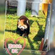 ヒメ日記 2025/05/09 11:03 投稿 みこ 恋のうた