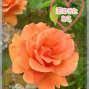 ヒメ日記 2025/05/14 09:46 投稿 みこ 恋のうた