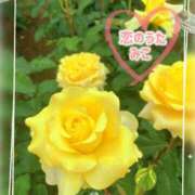 ヒメ日記 2025/05/19 09:13 投稿 みこ 恋のうた