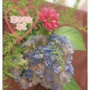 ヒメ日記 2025/06/15 12:49 投稿 みこ 恋のうた