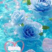 ヒメ日記 2025/06/23 12:48 投稿 みこ 恋のうた