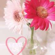 ヒメ日記 2025/06/27 13:10 投稿 みこ 恋のうた