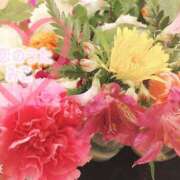 ヒメ日記 2025/06/28 15:46 投稿 みこ 恋のうた