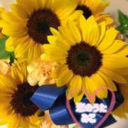 ヒメ日記 2025/07/04 11:03 投稿 みこ 恋のうた