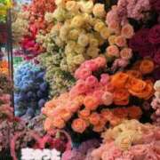 ヒメ日記 2025/07/11 11:03 投稿 みこ 恋のうた