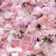 ヒメ日記 2025/07/11 11:24 投稿 みこ 恋のうた