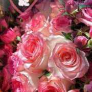 ヒメ日記 2025/07/23 11:01 投稿 みこ 恋のうた