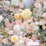 ヒメ日記 2025/07/24 12:43 投稿 みこ 恋のうた