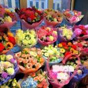 ヒメ日記 2025/07/27 16:52 投稿 みこ 恋のうた