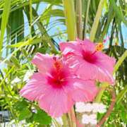 ヒメ日記 2025/08/04 13:59 投稿 みこ 恋のうた