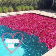 ヒメ日記 2025/08/18 12:14 投稿 みこ 恋のうた