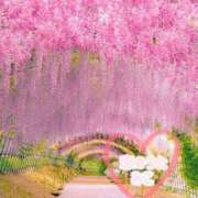 ヒメ日記 2025/08/18 12:34 投稿 みこ 恋のうた