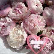 ヒメ日記 2025/08/29 11:31 投稿 みこ 恋のうた