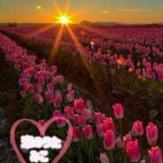 ヒメ日記 2025/08/31 11:18 投稿 みこ 恋のうた