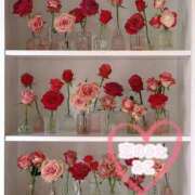 ヒメ日記 2025/09/06 14:32 投稿 みこ 恋のうた