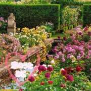 ヒメ日記 2025/09/06 14:43 投稿 みこ 恋のうた