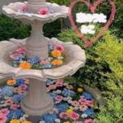 ヒメ日記 2025/09/30 11:16 投稿 みこ 恋のうた