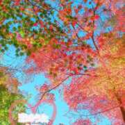 ヒメ日記 2025/10/22 22:26 投稿 みこ 恋のうた