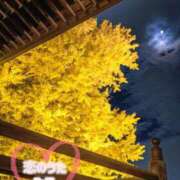 ヒメ日記 2025/10/28 10:51 投稿 みこ 恋のうた