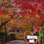 ヒメ日記 2025/11/19 23:06 投稿 みこ 恋のうた