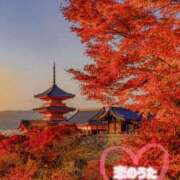 ヒメ日記 2025/11/20 14:18 投稿 みこ 恋のうた