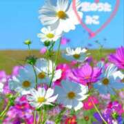 ヒメ日記 2025/11/23 14:37 投稿 みこ 恋のうた