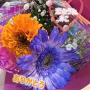 ヒメ日記 2025/12/28 11:44 投稿 みこ 恋のうた