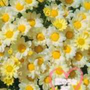 ヒメ日記 2025/12/28 11:55 投稿 みこ 恋のうた