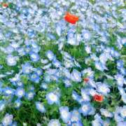 ヒメ日記 2026/04/23 22:13 投稿 みこ 恋のうた