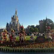 ヒメ日記 2025/11/22 12:20 投稿 桃井　そら 癒し娘診療所 水戸・ひたちなか店